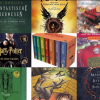 Harry Potter Bücher & Mehr – Dein Shop für Magie