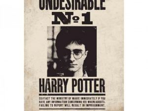 Harry Potter Blechschild Undesirable No. 1 Fahnungsplakat unerwünschter nr 1