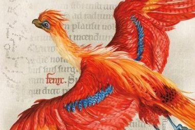 Neue Harry Potter Bücher sind unterwegs!